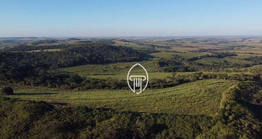 Fazenda à venda, 43 alqueires por R$ 15.050.000 - Rural - Sertanópolis/PR