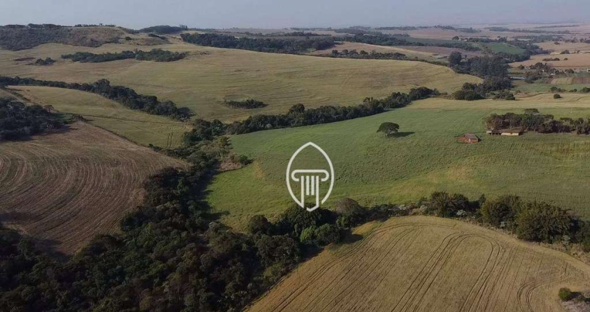 Fazenda à venda, 70 alqueires por R$ 24.500.000 - Rural - Sertanópolis/PR