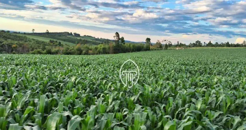 Sítio à venda, 5 alqueires  por R$ 600.000 - Zona Rural - Terra Nova/PR