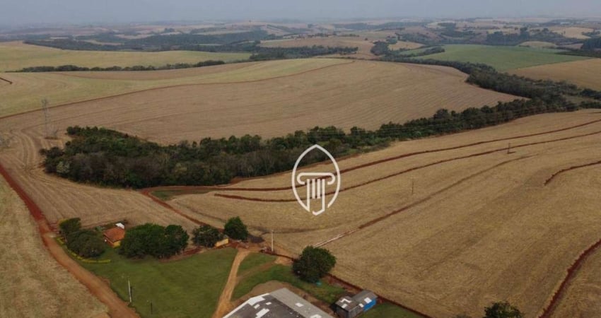 Fazenda à venda, 102 Alqueires Paulistas por R$ 45.000.000 - Zona Rural - Londrina/PR