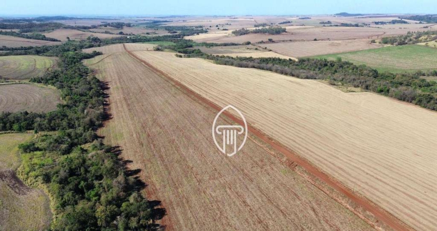 Fazenda à venda, 110 alqueires por R$ 38.500.000 - Zona Rural - Cornélio Procópio/PR