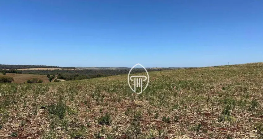 Sítio à venda, 133100 m² por R$ 1.725.000,00 - Zona Rural - Cornélio Procópio/PR