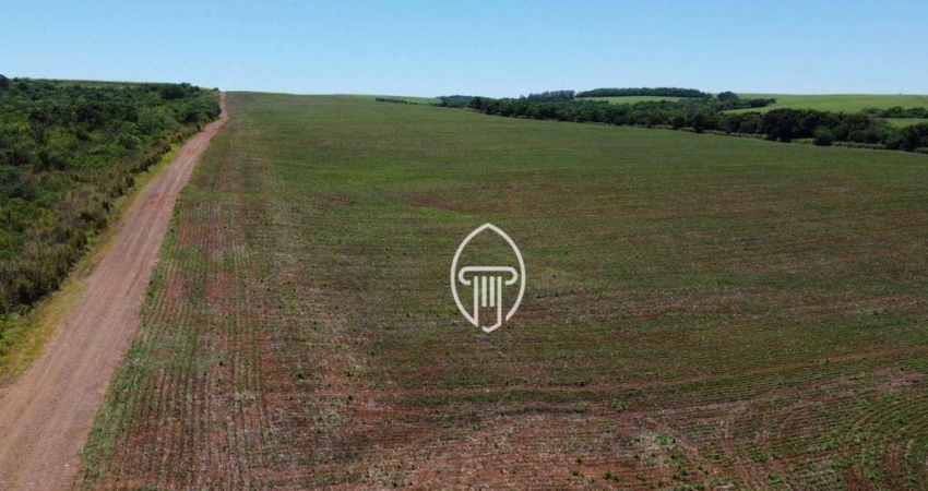 Fazenda à venda, 40 alqueires paulistas por R$ 12.000.000 - Porecatu/PR