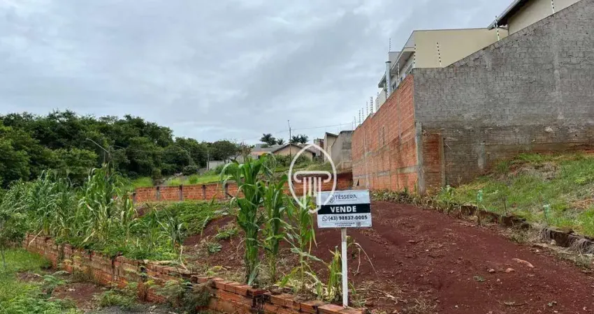 Terreno à venda, 530 m² por R$ 250.000,00 - Vila Romana - Ibiporã/PR