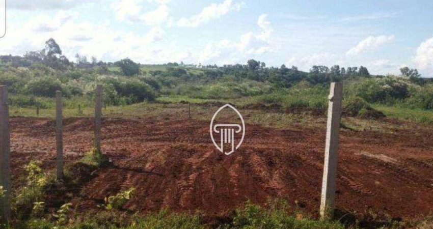 Terreno à venda, 4250 m² por R$ 350.000,00 - Jataizinho  - Jataizinho/PR