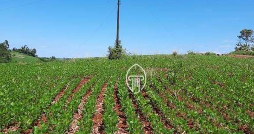 Sítio à venda, 10 alqueires por R$ 2.600.000 - Zona Rural - Assaí/PR