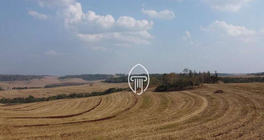 Fazenda à venda, 85 alqueires por R$ 25.650.000 - Sertanópolis/PR