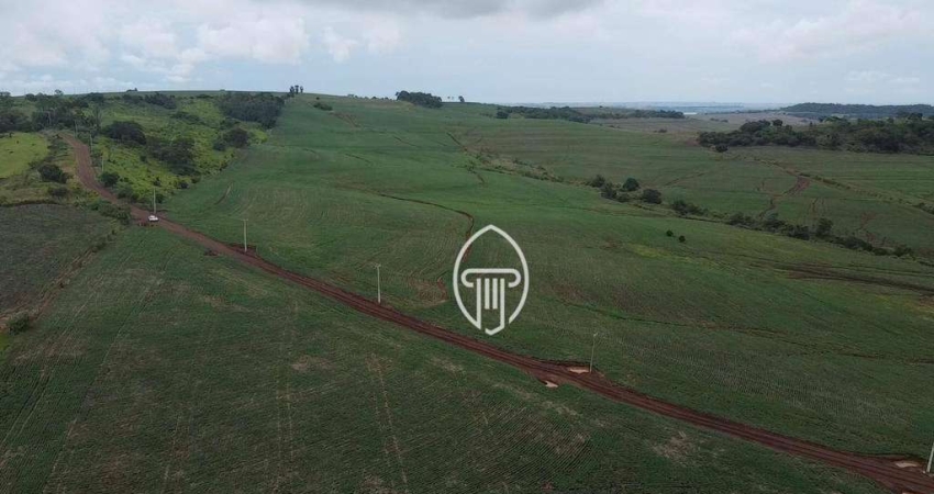 Sítio à venda, 16 alqueires por R$ 5.000.000 - Primeiro de Maio/PR