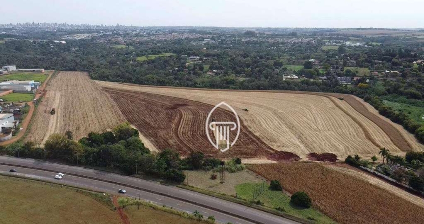 Área à venda, 205700 m² por R$ 14.000.000,00 - Parque Industrial Buena Vista - Londrina/PR