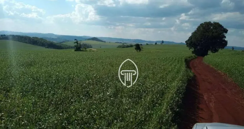 Sítio à venda, 3,7 alqueires por R$ 1.200.000 - Zona Rural - Assaí/PR