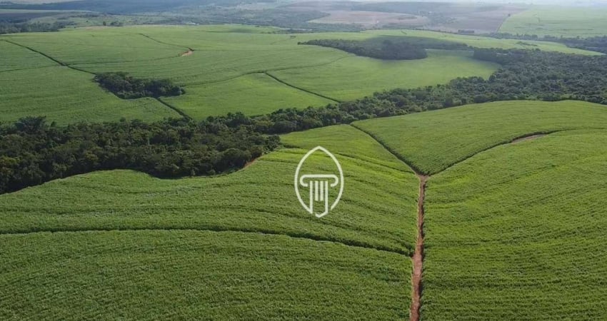 Fazenda à venda, 147,25 Alqueires m² por R$ 28.000.000 - Zona Rural - Porecatu/PR