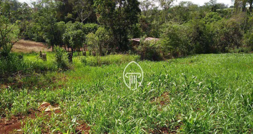 Chácara à venda, 3000 m² por R$ 270.000 - Zona Rural - Londrina/PR