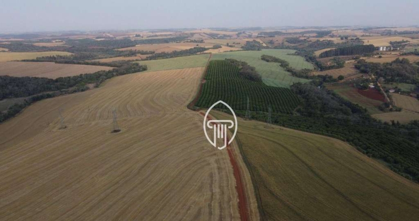 Fazenda à venda, 130 Alqueires por R$ 65.000.000 - Zona Rural - Londrina/PR