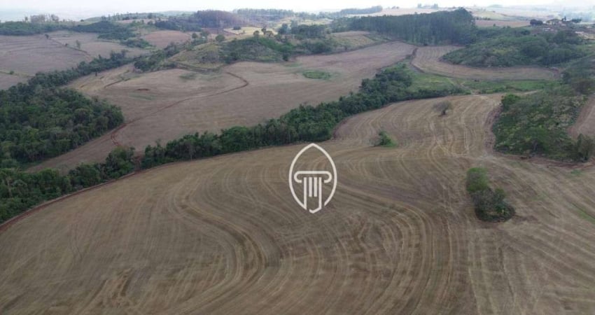 Fazenda à venda, 41,5 alqueires por R$ 12.900.000 - Zona Rural - Londrina/PR