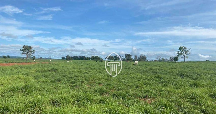 Fazenda à venda, 7.173 hectares por R$ 180.000.000 - Zona Rural - Coxim/MS