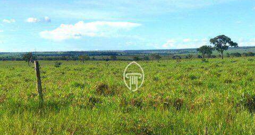 Fazenda à venda, 1600 hectares por R$ 50.000.000 - Zona Rural - Coxim/MS