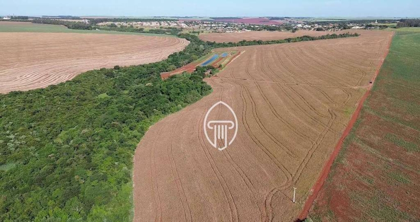 Fazenda à venda, 62.3 alqueires por R$ 19.000.000 - Zona Rural - Prado Ferreira/PR