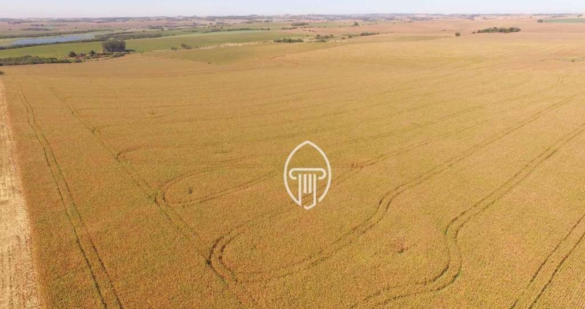 Fazenda à venda, 24,5 alqueires por R$ 8.500.000 - Zona Rural - Leópolis/PR