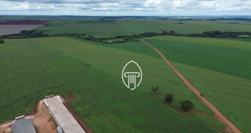 Fazenda à venda, 28 Alqueires por R$ 9.900.000 - Bairro Oeste da Jacutinga - Mariluz/PR