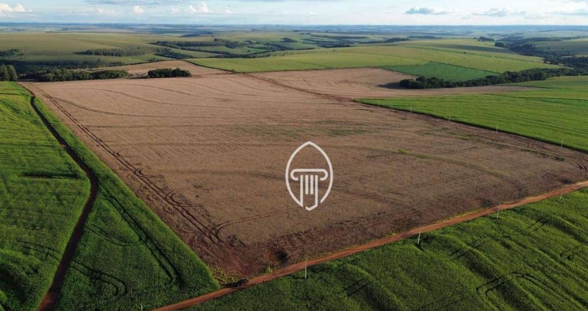 Fazenda à venda, 48 Alqueires por R$ 14.500.000 - Centro - Quarto Centenário/Paraná