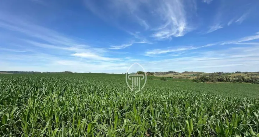 Sítio à venda, 5 Alqueires por R$ 1.200.000 - Zona Rural - Jataizinho/PR