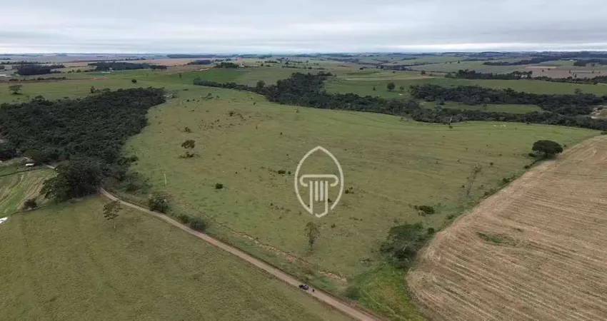 Sítio à venda, 29 Alqueires por R$ 4.000.000 - Zona Rural - Janiópolis/PR