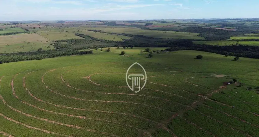 Fazenda à venda, 248 Alqueires por R$ 42.000.000 - Área Rural - Cruzeiro do Oeste/PR