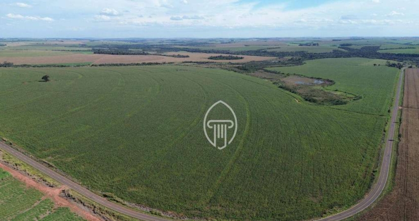 Fazenda à venda, 270 Alqueires por R$ 63.200.000 - Bairro Oeste da Jacutinga - Mariluz/PR