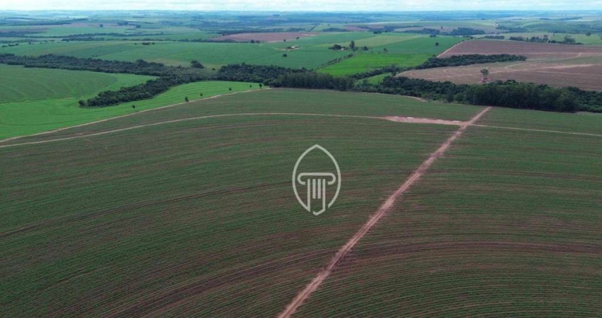Fazenda à venda, 103 Alqueires por R$ 24.100.000 - Bairro Oeste da Jacutinga - Mariluz/PR