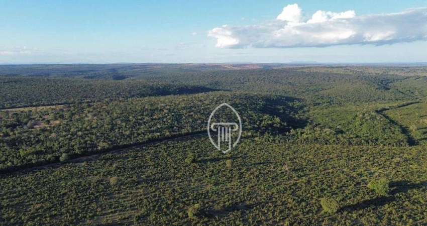 Fazenda à venda, 8340 hectares por R$ 166.800.000 - Zona Rural - Coxim/MS