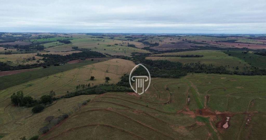 Fazenda à venda, 86 Alqueires por R$ 20.000.000 - Zona I - Umuarama/PR