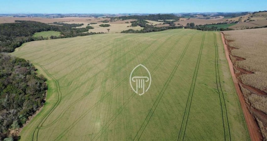 Fazenda à venda, 289 alqueires por R$ 72.250.000 - Zona Rural - Londrina/PR