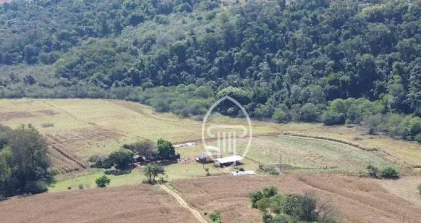 Sítio à venda, 3 Alqueires paulistas  por R$ 1.200.000 - Zona Rural - Ibiporã/PR