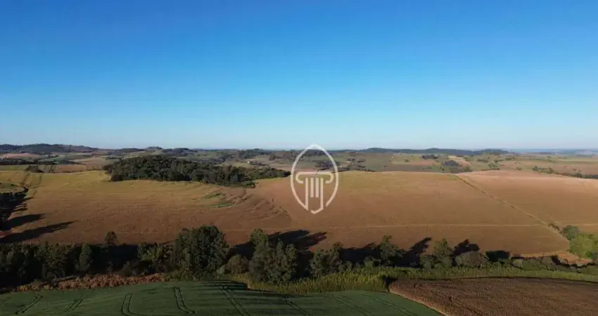 Sítio à venda, 33 alqueires paulistas por R$ 9.900.000 - Zona Rural - Jataizinho/PR