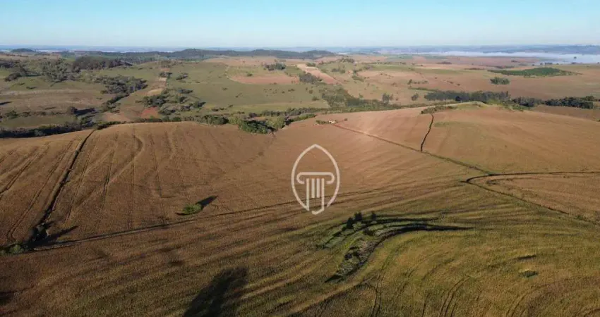 Sítio à venda, 15 alqueires paulistas por R$ 5.250.000 - Zona Rural - Jataizinho/PR
