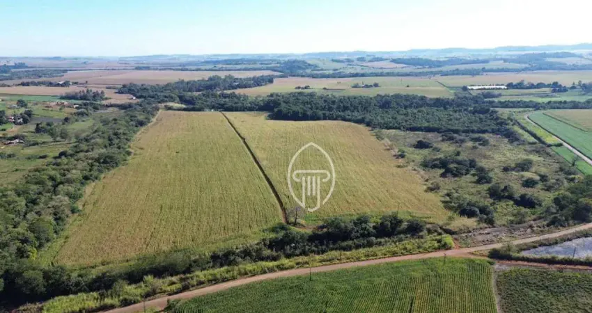 Sítio à venda, 18 alqueires paulistas por R$ 3.500.000 - Rural - Urai/PR