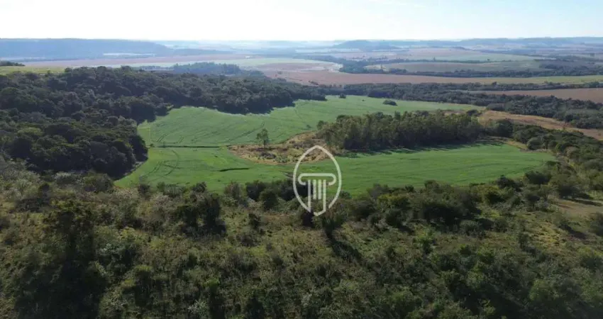 Fazenda à venda, 90 alqueires paulistas por R$ 31.500.000 - Rural - Rancho Alegre/PR