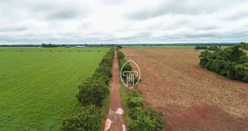 Fazenda à venda, 7130 hectares por R$ 300.000.000 - Zona Rural - Buriti de Goiás/GO