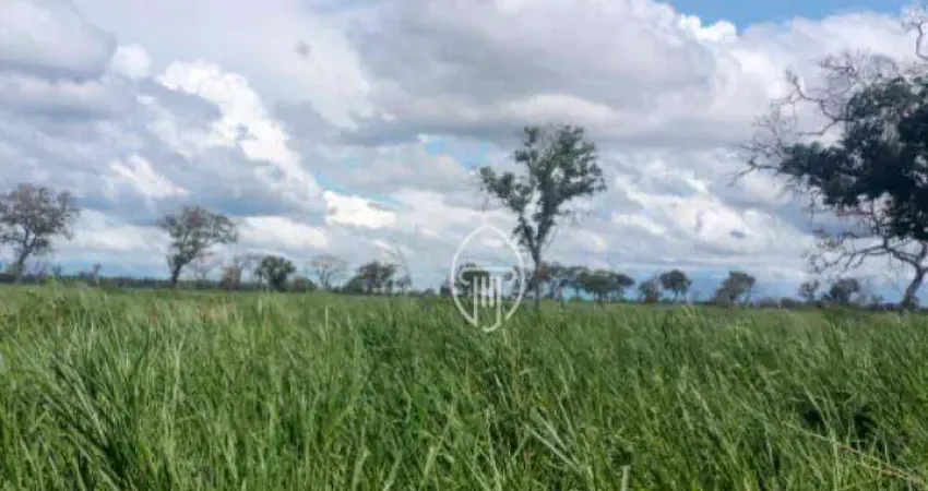 Fazenda à venda, 14.100 hectares por R$ 282.000.000 - Rural - Rio Verde de Mato Grosso/MS