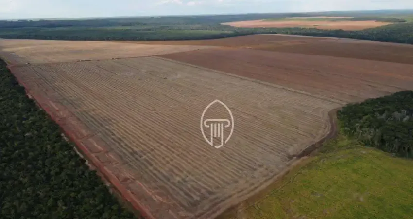 Fazenda à venda, 6402 Hectares por R$ 110.000.000 - Zona Rural - Nova Mutum/PR