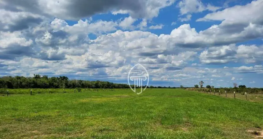 Fazenda à venda, 61350000 m² por R$ 92.000.000 - Zona Rural - Santo Antônio do Leverger/MT