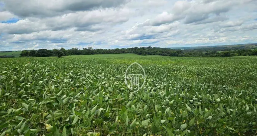 Fazenda à venda, 214 alqueires paulistas por R$ 44.000.000 - Presidente Prudente/SP