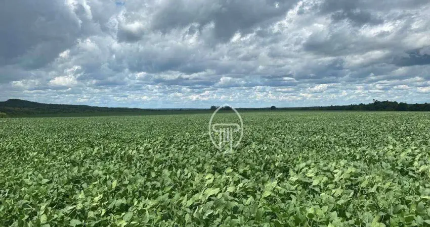 Fazenda à venda, 964 hectares por R$ 43.750.000 - Zona Rural - Rosário Oeste/MT