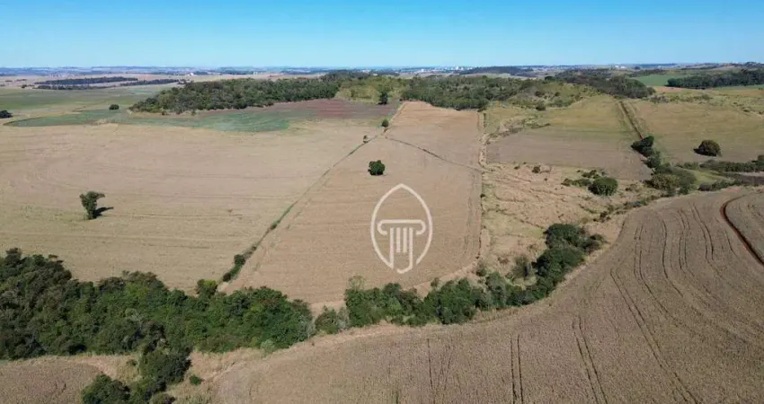 Sítio à venda, 21 alqueires por R$ 6.300.000 - Zona Rural - Ibiporã/PR