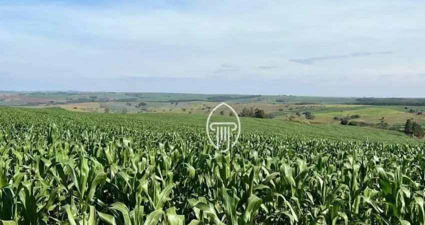 Chácara / sítio à venda na Rodovia PR 445, 121, Centro, Bela Vista do Paraíso