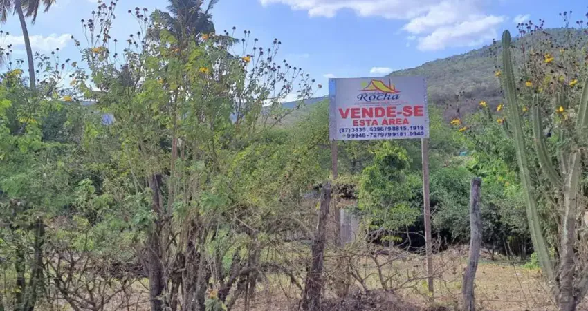 Terreno à venda na Av Dr. Carlito Didier Pita, Centro, Pesqueira