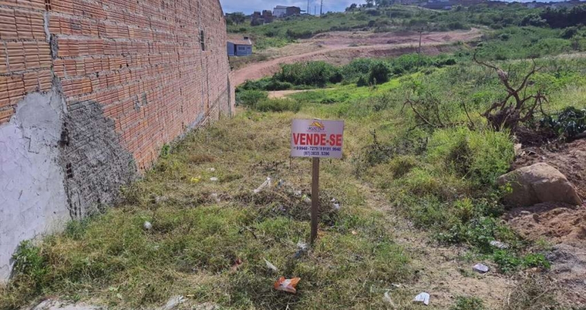 Terreno para Venda em Pesqueira, Loteamento Leonardo Gomes