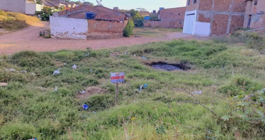 Terreno para Venda em Pesqueira, Loteamento Leonardo Gomes