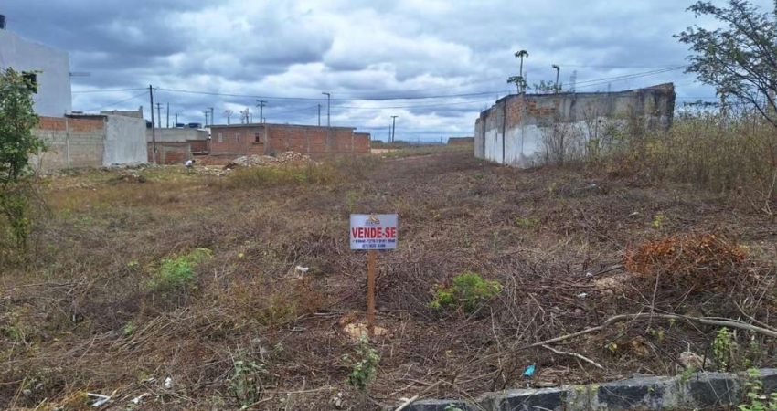 Terreno à venda na Loteamento Miguel Lins de Freitas, Pedra Redonda, Pesqueira