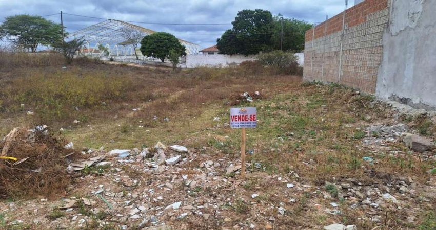 Terreno à venda na Loteamento Miguel Lins de Freitas, s/n, Pedra Redonda, Pesqueira